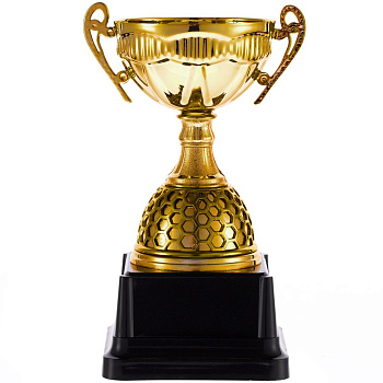 Кубок Meritus, средний