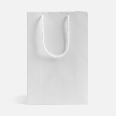 Пакет бумажный Lami S