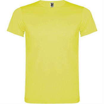 Футболка AKITA мужская