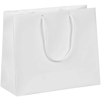 Пакет бумажный Ample Plus S