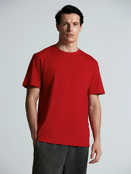 Футболка унисекс Streetwise