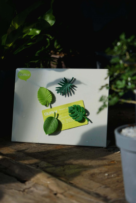 Набор магнитов Тропики