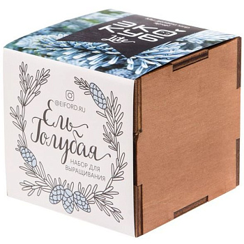 Набор для выращивания «Экокуб Lite»