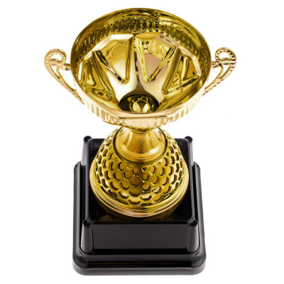 Кубок Meritus, малый